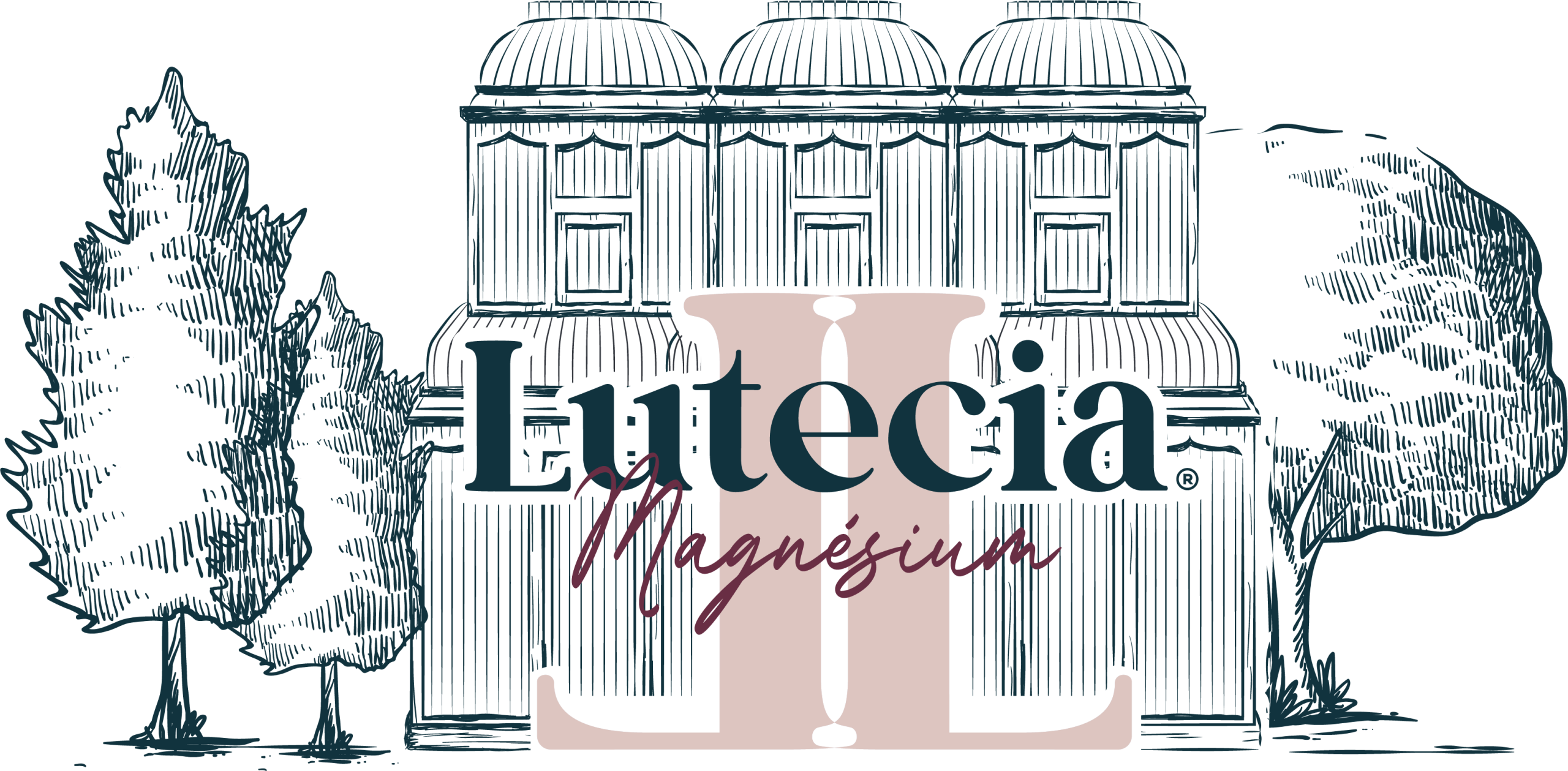 DESSIN USINE LUTECIA MAGNESIUM